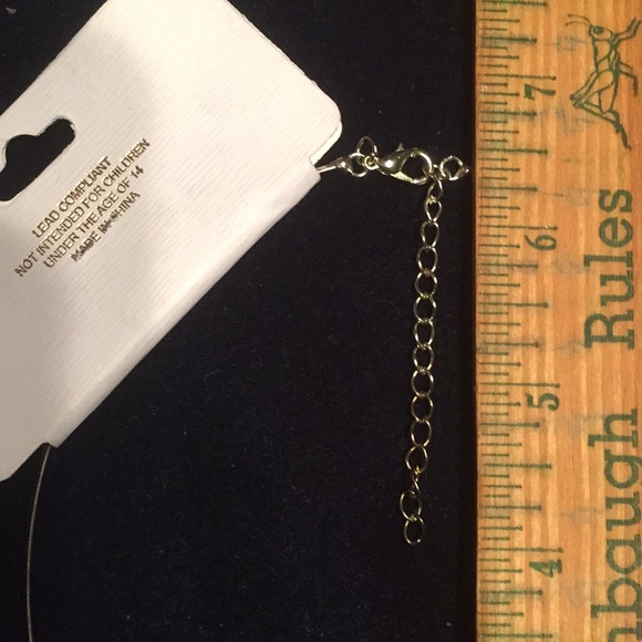 NWT Choker - Picture 6 of 7